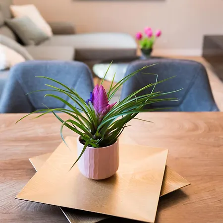 луксозен арт в близост до центъра на града